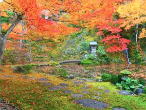 慈恩禅寺、紅葉、11月秋、岐阜県郡上市の観光撮影スポットの名所