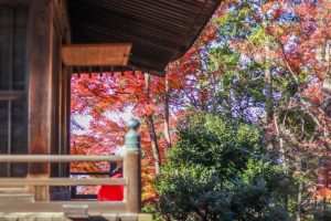 寂光院、紅葉、11月秋、愛知県犬山市の観光・撮影スポットの画像と写真