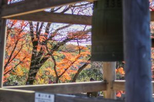 寂光院、紅葉、11月秋、愛知県犬山市の観光・撮影スポットの画像と写真