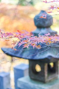 寂光院、紅葉、11月秋、愛知県犬山市の観光・撮影スポットの画像と写真