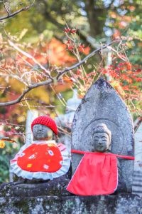 寂光院、紅葉、11月秋、愛知県犬山市の観光・撮影スポットの画像と写真
