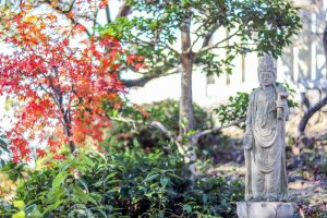 寂光院、紅葉、11月秋、愛知県犬山市の観光・撮影スポットの画像と写真