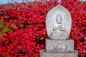 寂光院、紅葉、11月秋、愛知県犬山市の観光・撮影スポットの画像と写真