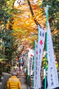 寂光院、紅葉、11月秋、愛知県犬山市の観光・撮影スポットの画像と写真