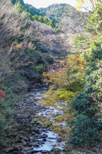 川内渓谷、紅葉、11月秋、三重県津市の観光・撮影スポットの画像と写真