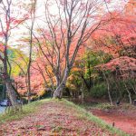 川内渓谷、紅葉、11月秋、三重県津市の観光・撮影スポットの画像と写真
