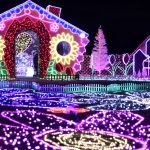 木曽三川公園センター、イルミネーション、12月冬、岐阜県海津市の観光・撮影スポットの画像と写真