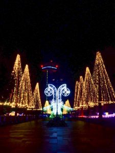 木曽三川公園センター、イルミネーション、12月冬、岐阜県海津市の観光・撮影スポットの画像と写真
