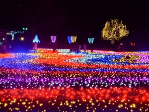 木曽三川公園センター、イルミネーション、12月冬、岐阜県海津市の観光・撮影スポットの画像と写真