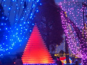 木曽三川公園センター、イルミネーション、12月冬、岐阜県海津市の観光・撮影スポットの画像と写真