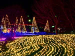 木曽三川公園センター、イルミネーション、12月冬、岐阜県海津市の観光・撮影スポットの画像と写真