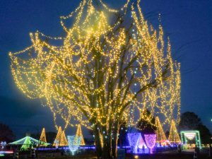 木曽三川公園センター、イルミネーション、12月冬、岐阜県海津市の観光・撮影スポットの画像と写真