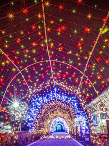 黒野駅レールパーク、イルミネーション、12月冬、岐阜県揖斐郡の観光・撮影スポットの画像と写真
