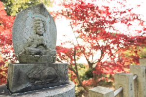 寂光院、紅葉、11月秋、愛知県犬山市の観光・撮影スポットの画像と写真