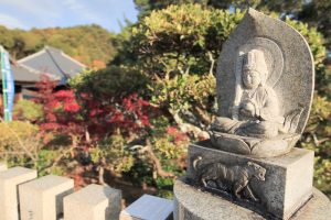 寂光院、紅葉、11月秋、愛知県犬山市の観光・撮影スポットの画像と写真