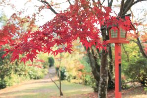 寂光院、紅葉、11月秋、愛知県犬山市の観光・撮影スポットの画像と写真