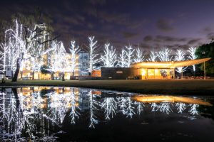 学びの森、イルミネーション、12月、冬、岐阜県各務原市の観光・撮影スポットの画像と写真