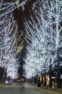 学びの森、イルミネーション、12月、冬、岐阜県各務原市の観光・撮影スポットの画像と写真