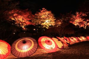 きらめき明治村、イルミネーション、12月冬、愛知県犬山市の観光・撮影スポットの画像と写真