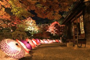 きらめき明治村、イルミネーション、12月冬、愛知県犬山市の観光・撮影スポットの画像と写真