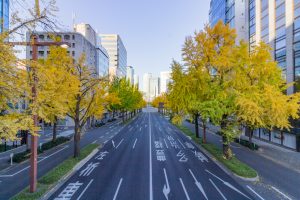 交差点日銀前の歩道橋、銀杏、黄葉、11月秋名古屋市中区の観光・撮影スポットの画像と写真