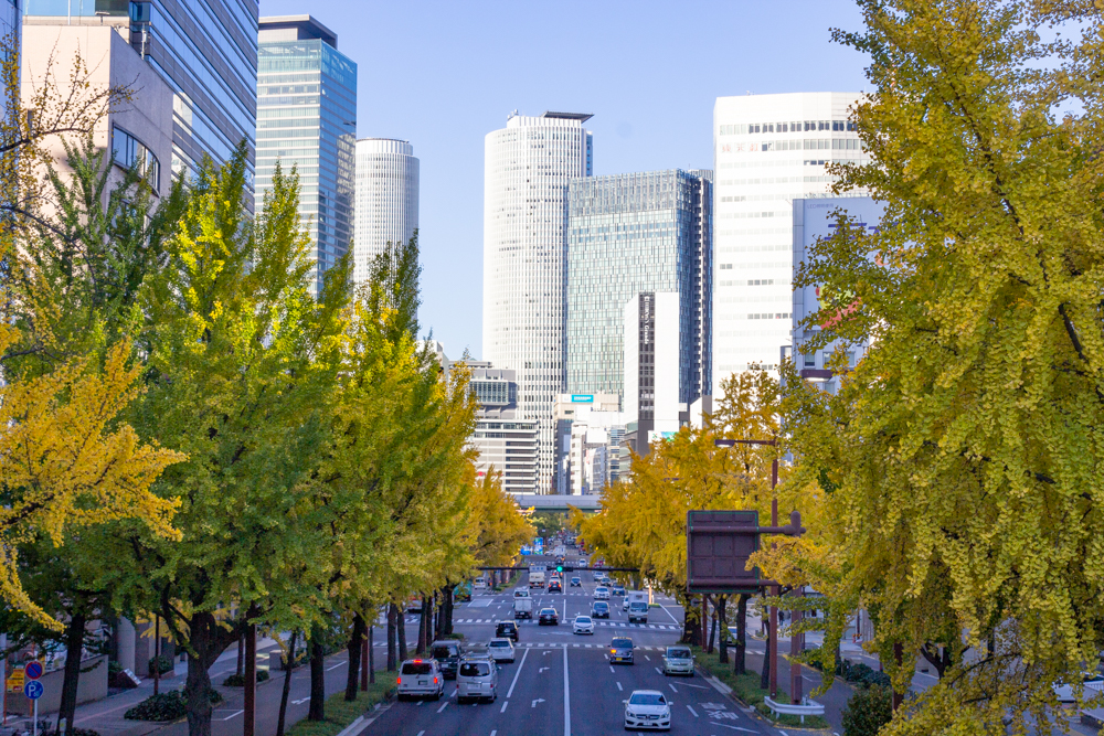交差点日銀前の歩道橋、銀杏、黄葉、11月秋名古屋市中区の観光・撮影スポットの画像と写真