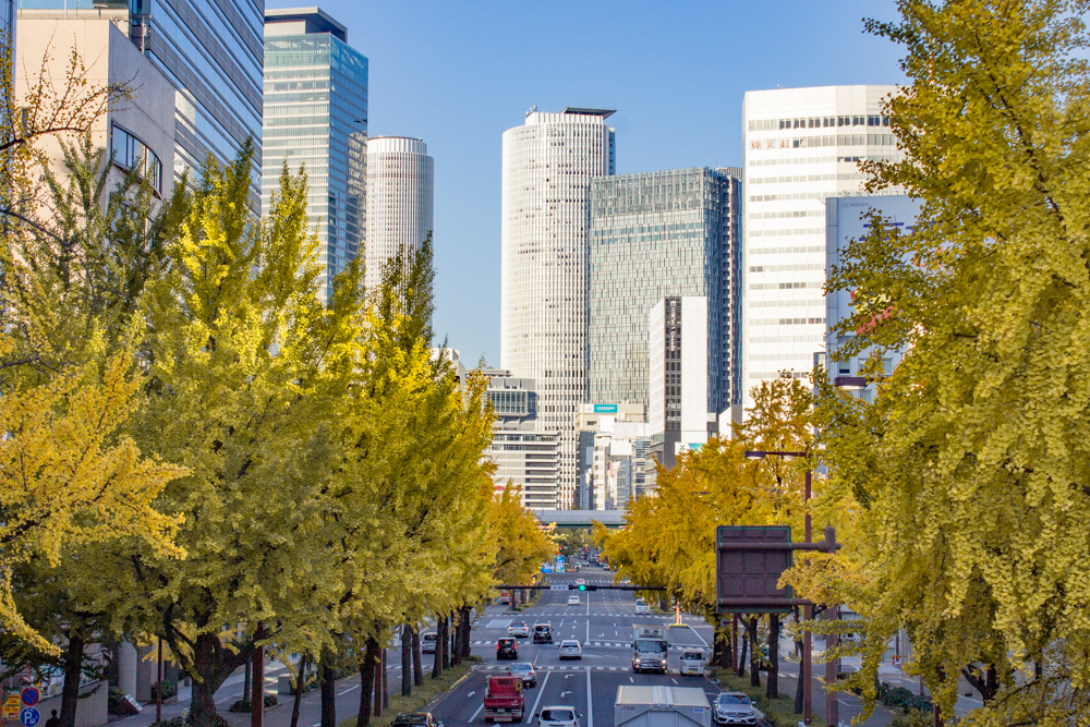 交差点日銀前の歩道橋、銀杏、黄葉、11月秋名古屋市中区の観光・撮影スポットの画像と写真