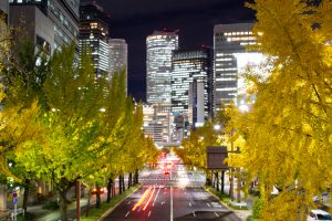 交差点日銀前の歩道橋、銀杏、黄葉、11月秋名古屋市中区の観光・撮影交差点日銀前の歩道橋、銀杏、黄葉、11月秋名古屋市中区の観光・撮影スポットの画像と写真