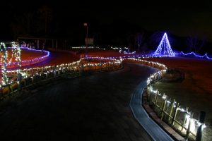 道の駅おばあちゃん市・山岡,イルミネーション、日本一の水車、岐阜県恵那市の観光・撮影スポットの画像と写真