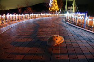 道の駅おばあちゃん市・山岡,イルミネーション、日本一の水車、岐阜県恵那市の観光・撮影スポットの画像と写真