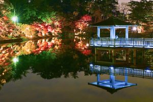 岡崎東公園、紅葉、ライトアップ、11月秋、愛知県岡崎市の観光・撮影スポットの画像と写真