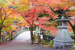 岡崎東公園、紅葉、11月秋、愛知県岡崎市の観光・撮影スポットの画像と写真