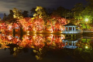 岡崎東公園、紅葉、ライトアップ、11月秋、愛知県岡崎市の観光・撮影スポットの画像と写真