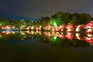 岡崎東公園、紅葉、ライトアップ、11月秋、愛知県岡崎市の観光・撮影スポットの画像と写真