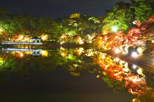 岡崎東公園、紅葉、ライトアップ、11月秋、愛知県岡崎市の観光・撮影スポットの画像と写真