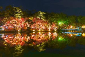 岡崎東公園、紅葉、ライトアップ、11月秋、愛知県岡崎市の観光・撮影スポットの画像と写真