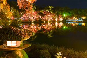 岡崎東公園、紅葉、ライトアップ、11月秋、愛知県岡崎市の観光・撮影スポットの画像と写真