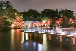 岡崎東公園、紅葉、ライトアップ、11月秋、愛知県岡崎市の観光・撮影スポットの画像と写真