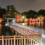 岡崎東公園、紅葉、ライトアップ、11月秋、愛知県岡崎市の観光・撮影スポットの画像と写真