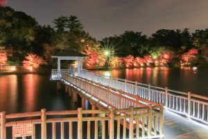 岡崎東公園、紅葉、ライトアップ、11月秋、愛知県岡崎市の観光・撮影スポットの画像と写真
