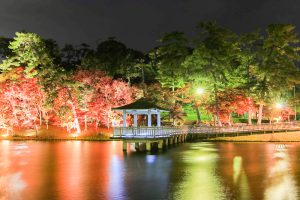 岡崎東公園、紅葉、ライトアップ、11月秋、愛知県岡崎市の観光・撮影スポットの画像と写真