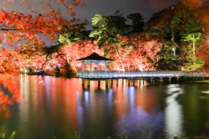 岡崎東公園、紅葉、ライトアップ、11月秋、愛知県岡崎市の観光・撮影スポットの画像と写真岡崎東公園、紅葉、ライトアップ、11月秋、愛知県岡崎市の観光・撮影スポットの画像と写真