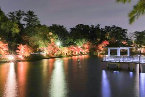 岡崎東公園、紅葉、ライトアップ、11月秋、愛知県岡崎市の観光・撮影スポットの画像と写真