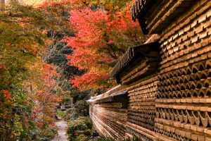 大智寺、紅葉、11月秋、岐阜県岐阜市の観光・撮影スポットの画像と写真