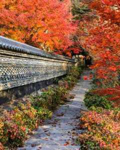 大智寺、紅葉、11月秋、岐阜県岐阜市の観光・撮影スポットの画像と写真
