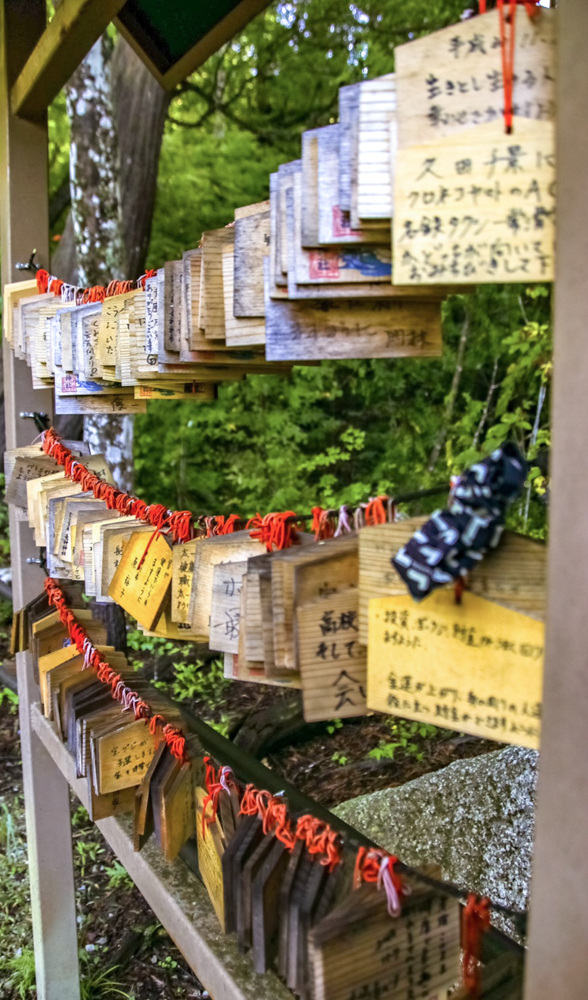 夕森公園、竜神の滝、9月、岐阜県中津川市の観光・撮影スポットの画像と写真