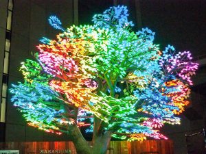 ささしまライブ、クリスマスイルミネーション、名古屋市中村区の観光・撮影スポットの画像と写真