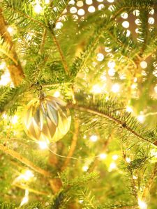 ささしまライブ、クリスマスイルミネーション、名古屋市中村区の観光・撮影スポットの画像と写真