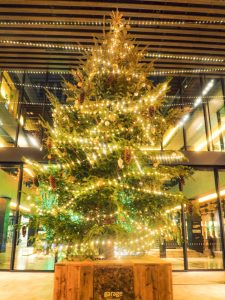 ささしまライブ、クリスマスイルミネーション、名古屋市中村区の観光・撮影スポットの画像と写真