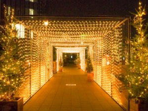 ささしまライブ、クリスマスイルミネーション、名古屋市中村区の観光・撮影スポットの画像と写真